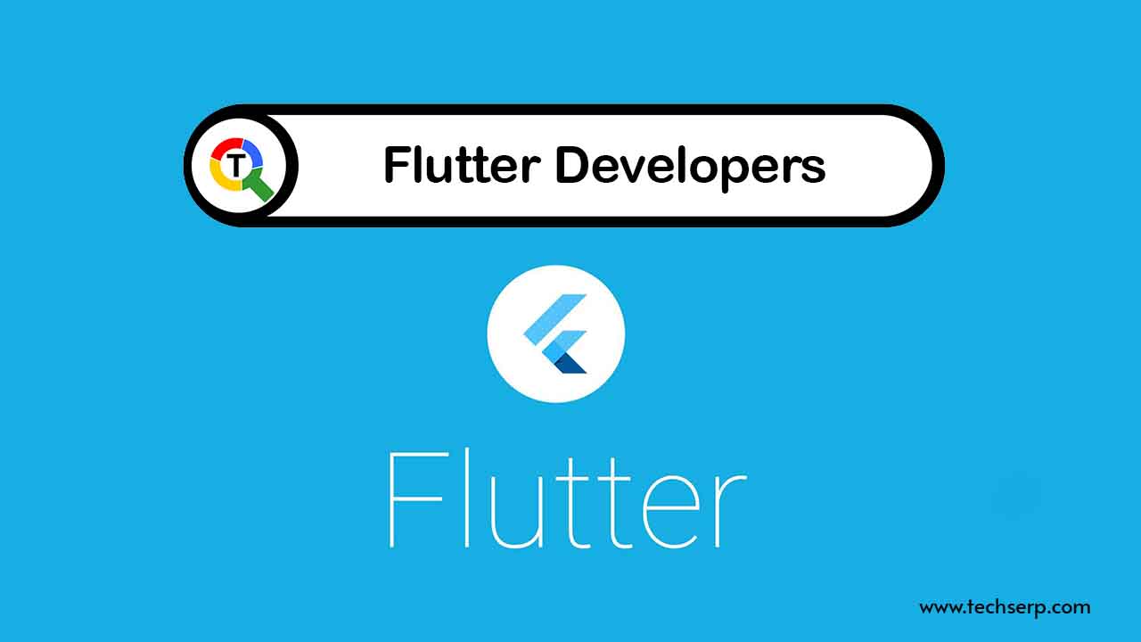 Flutter Developers