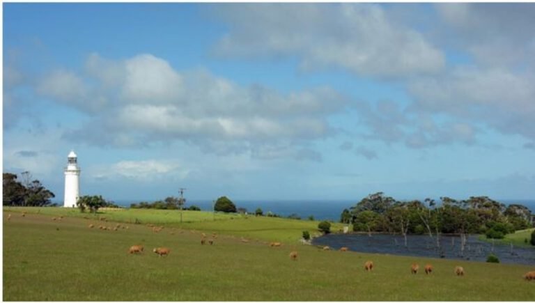 4 Reasons to Visit Tasmania in 2025